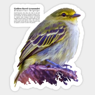 Golden-faced tyrannulet tropical bird black text Sticker